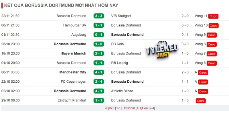 Thành tích ra sân của Borussia Dortmund