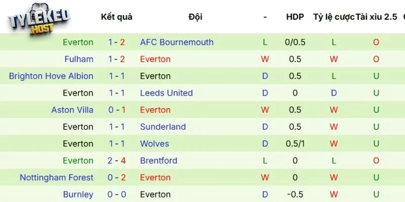 Hiệu quả thi đấu hiện tại của Everton