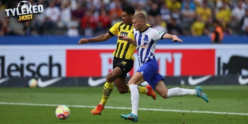Đánh giá nhanh phong độ Dortmund vs Hamburger SV