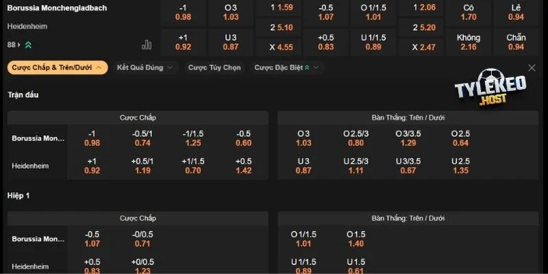 Dự đoán kèo M'gladbach vs Heidenheim