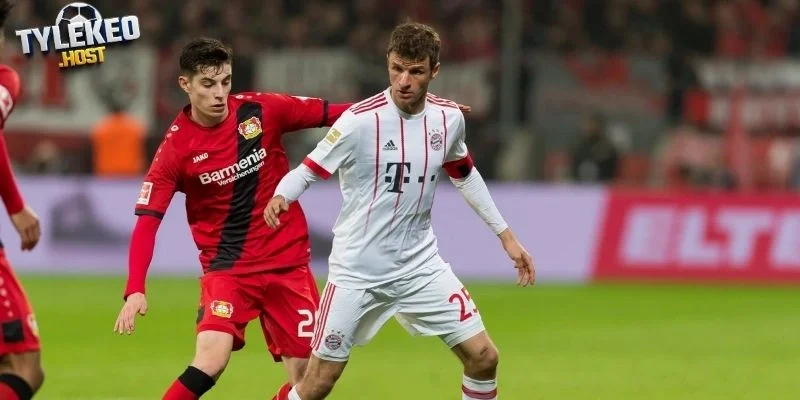 Phong độ Bayer Leverkusen vs Arsenal