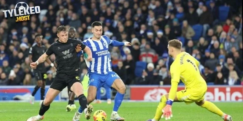 Cập nhật phong độ Nottingham vs Fulham