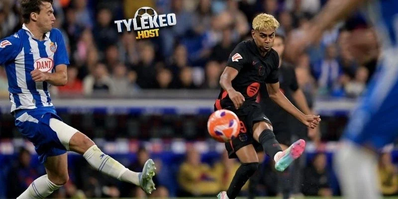 Tổng hợp phong độ Liverpool vs Tottenham