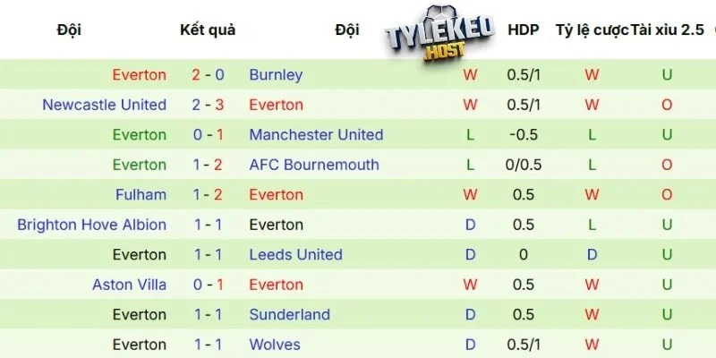 Kết quả thi đấu Everton 