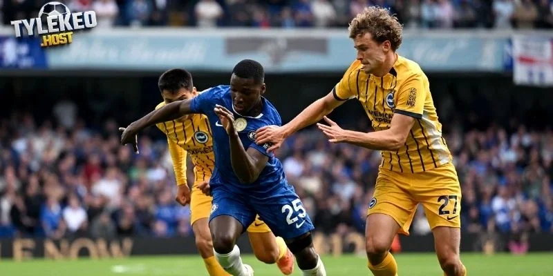 Cập nhật nhanh phong độ Brighton vs Chelsea