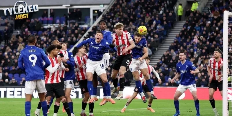 Tổng quan phong độ của Brentford vs Everton