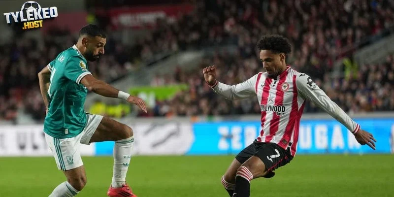 Đội hình Brentford và Liverpool trước trận