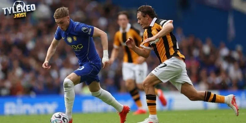 Hull City và Everton trước giờ bóng lăn